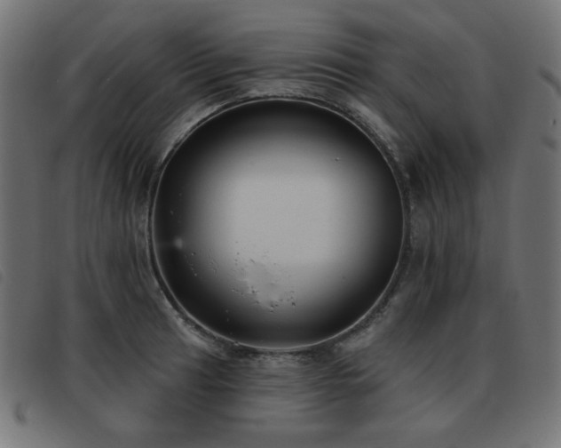 X0000093481041200710121441