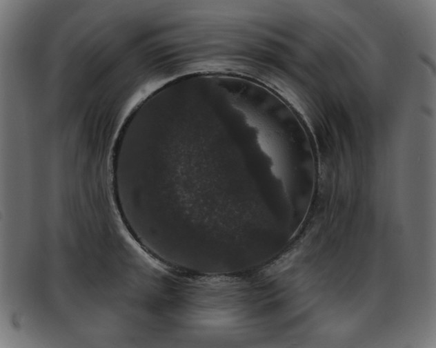 X0000093481045200710121441