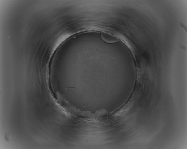 X0000093481048200710121441