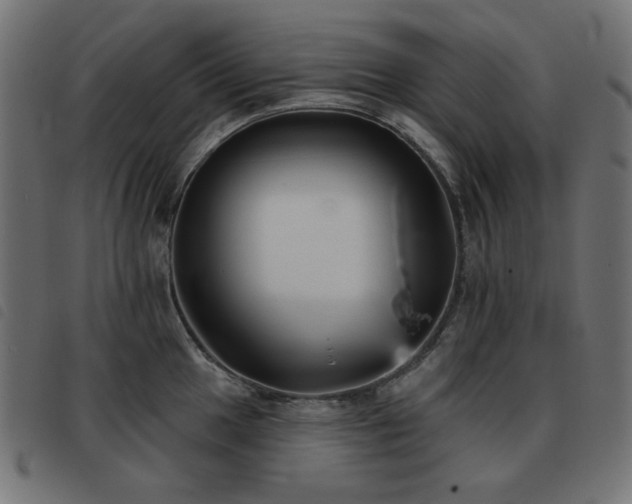 X0000093481049200710121441