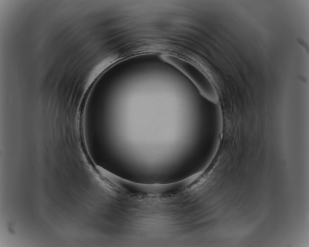 X0000093481050200710121441
