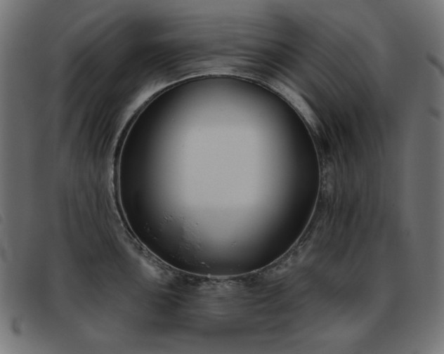 X0000093481051200710121441