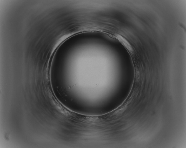 X0000093481052200710121441