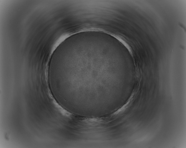 X0000093481054200710121441