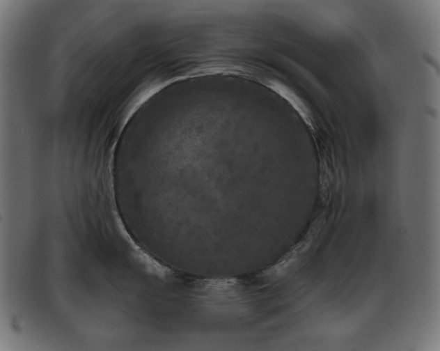 X0000093481055200710121441