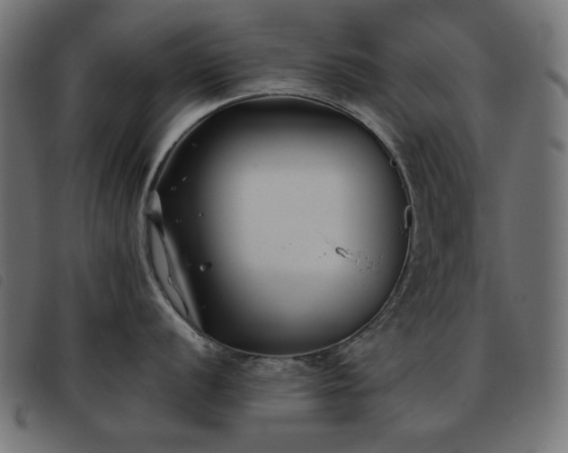 X0000093481056200710121441