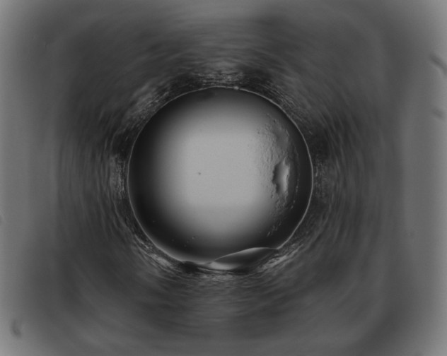 X0000093481058200710121441
