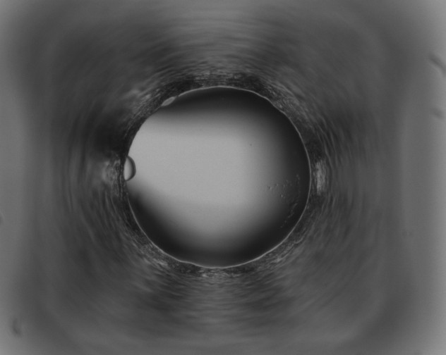 X0000093481059200710121441