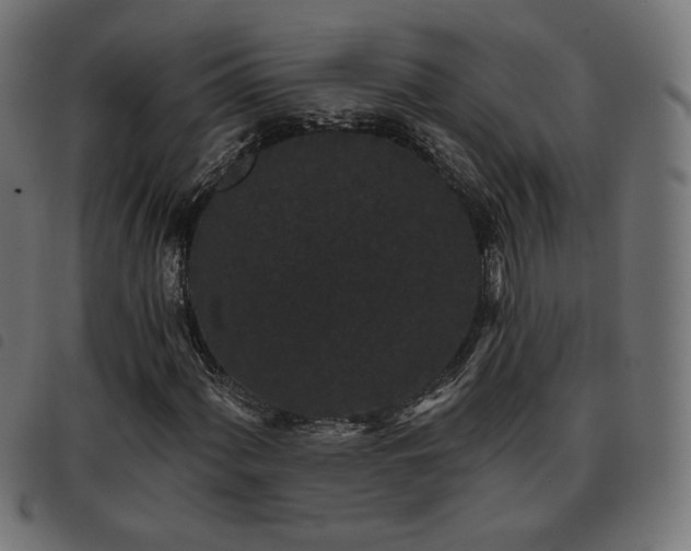 X0000093481060200710121441