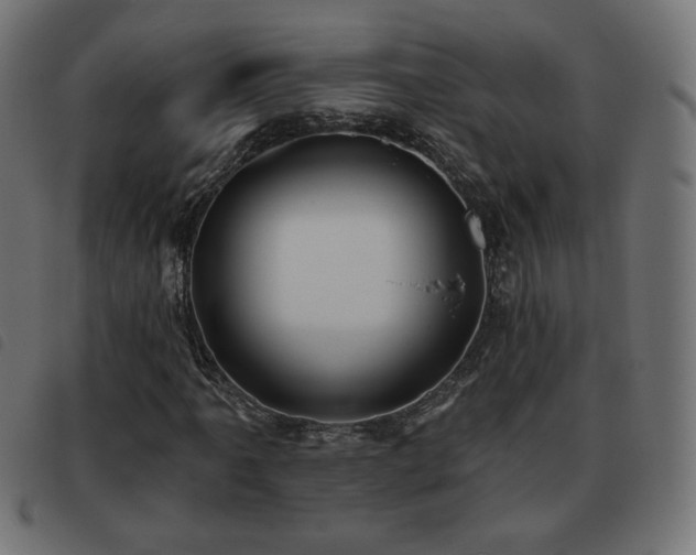 X0000093481061200710121441