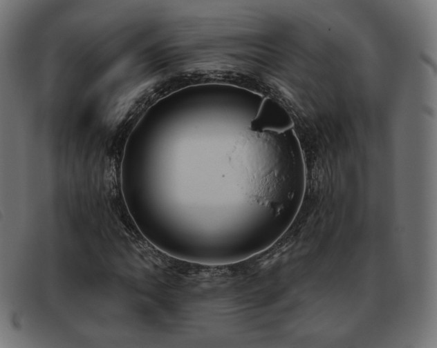 X0000093481062200710121441