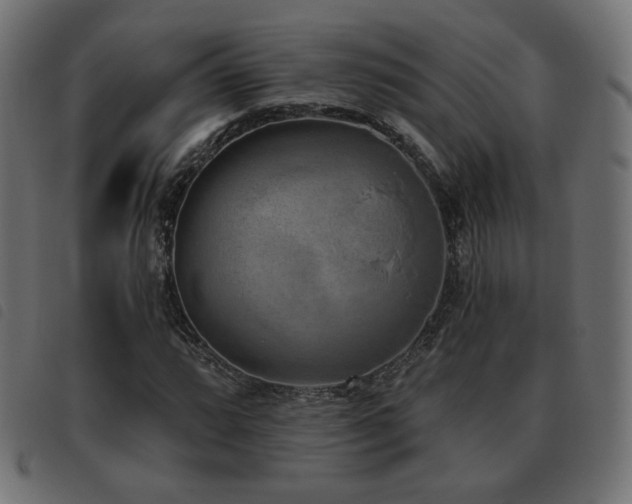 X0000093481064200710121441