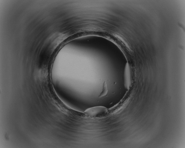 X0000093481065200710121441