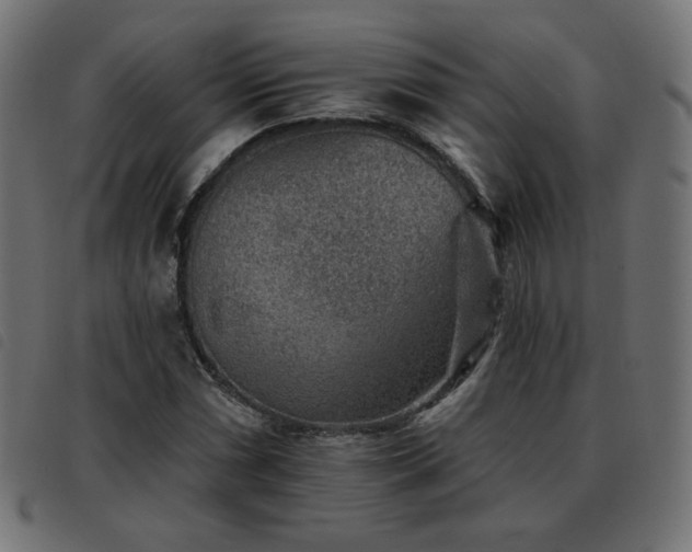 X0000093481066200710121441