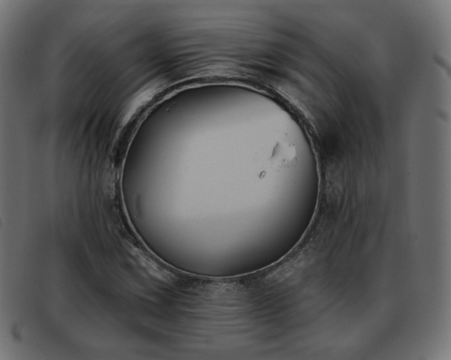 X0000093481067200710121441