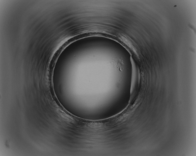 X0000093481068200710121441