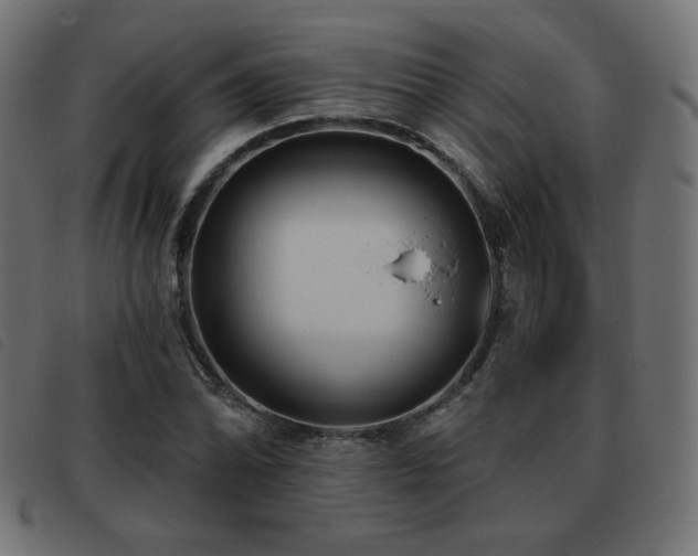 X0000093481070200710121441