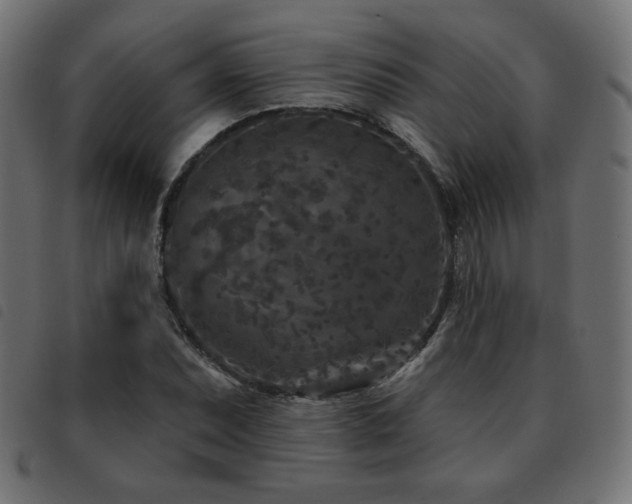 X0000093481071200710121441