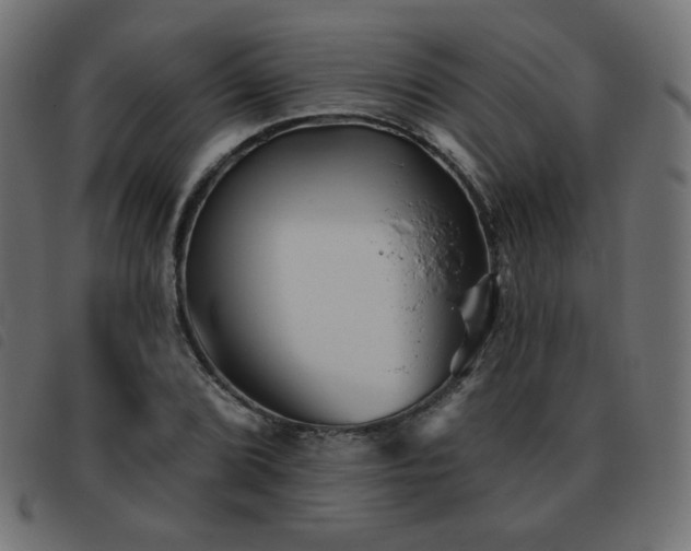 X0000093481072200710121441