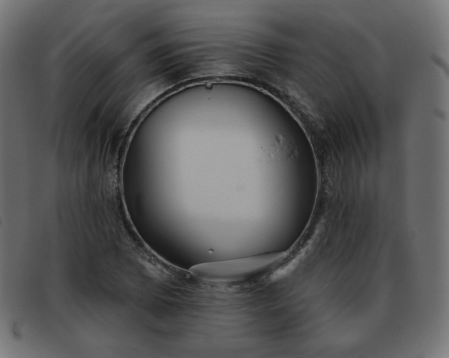 X0000093481073200710121441