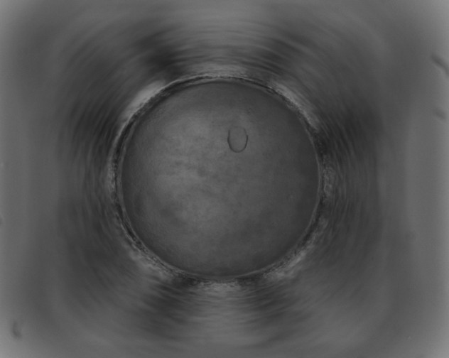 X0000093481074200710121441