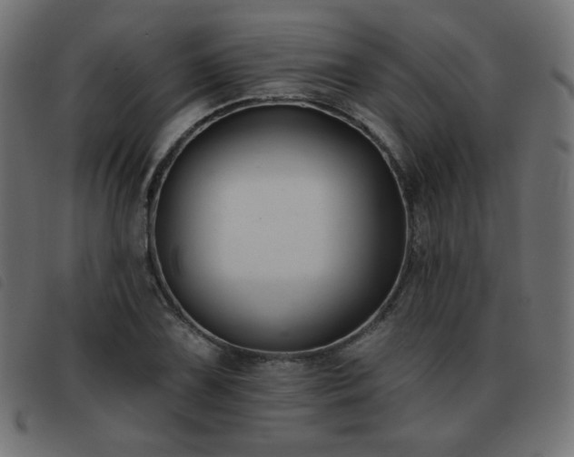 X0000093481075200710121441