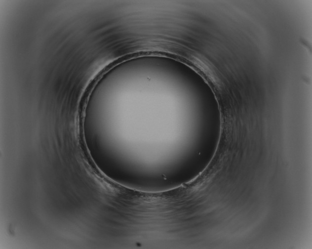 X0000093481076200710121441