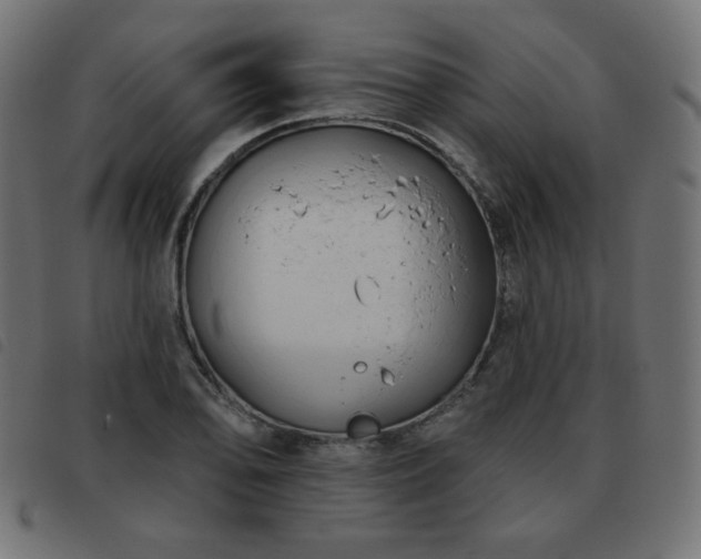 X0000093481078200710121441