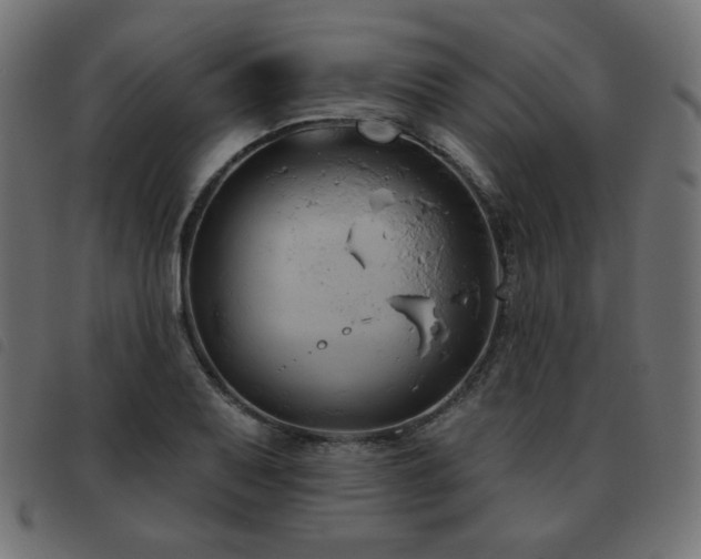 X0000093481079200710121441
