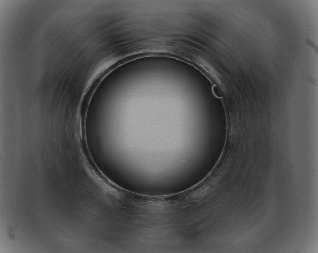 X0000093481080200710121441