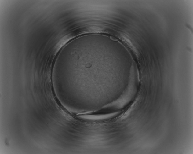 X0000093481081200710121441