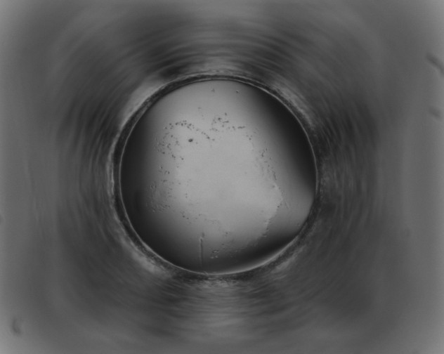 X0000093481082200710121440