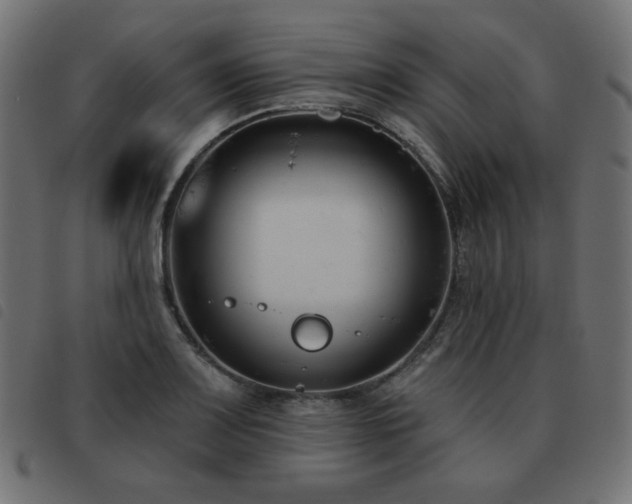 X0000093481083200710121440