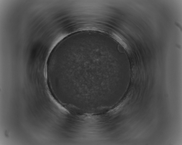 X0000093481084200710121440