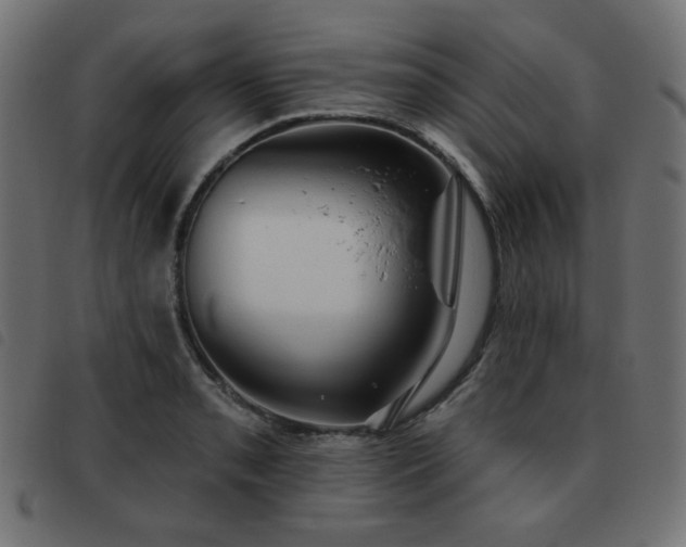 X0000093481085200710121440