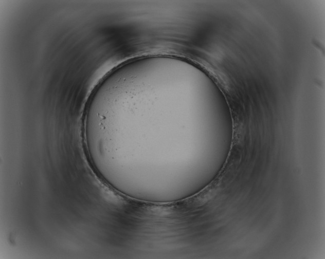 X0000093481086200710121440