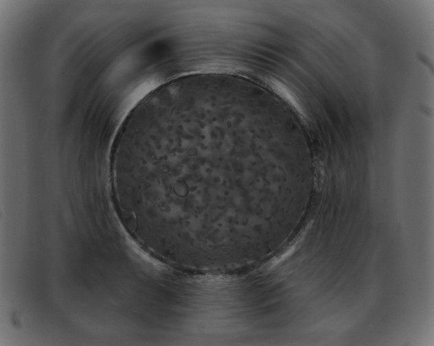 X0000093481087200710121440
