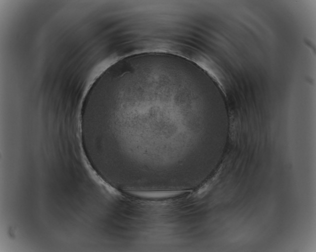 X0000093481088200710121440