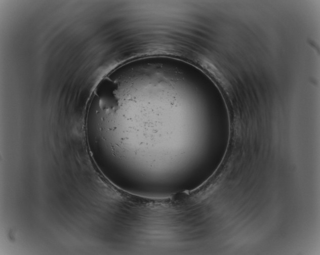 X0000093481089200710121440