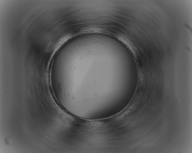 X0000093481090200710121440