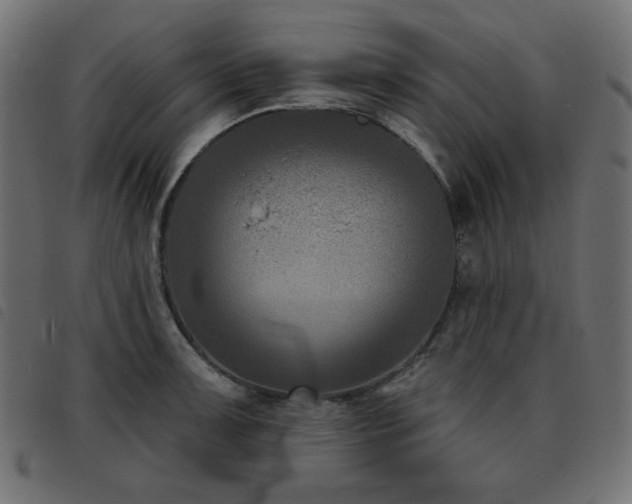 X0000093481091200710121440