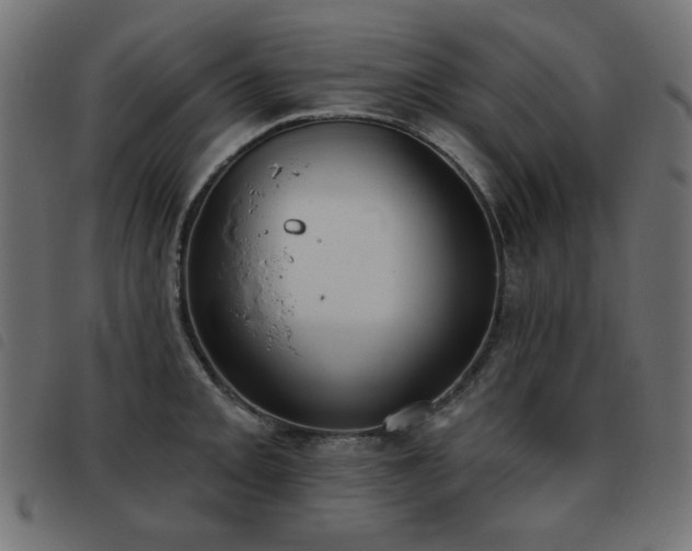 X0000093481093200710121440
