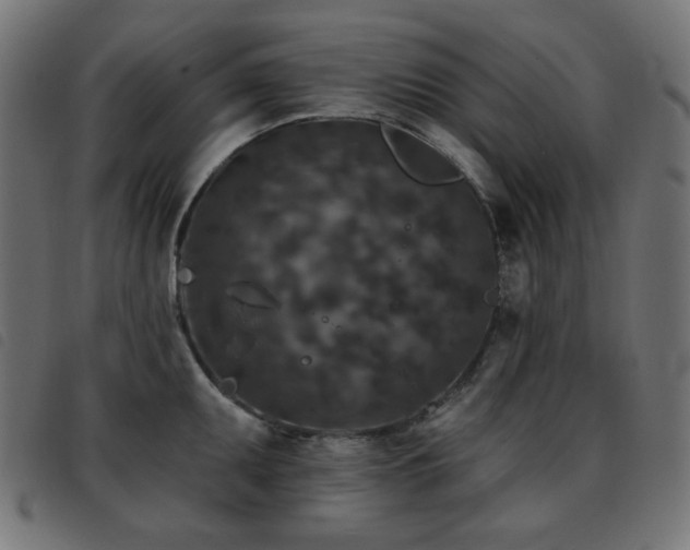 X0000093481095200710121440