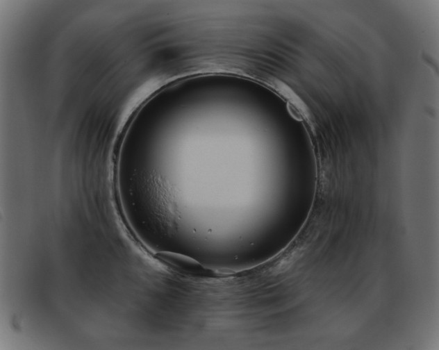 X0000093481096200710121440