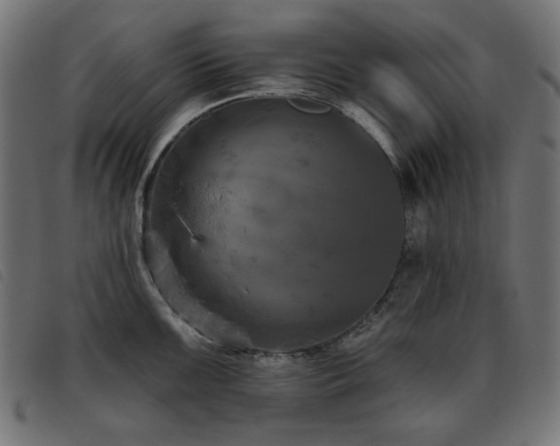 X0000093481099200710121440