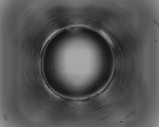 X0000093481100200710121440