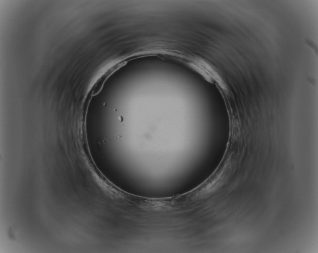 X0000093481101200710121440