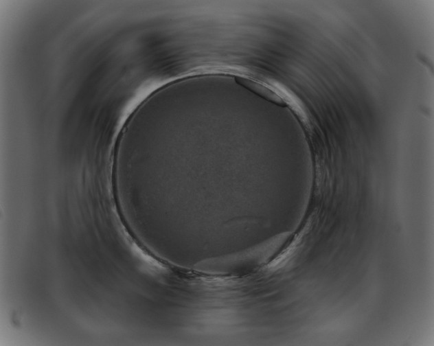 X0000093481102200710121440