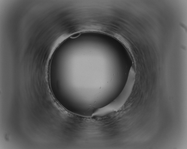 X0000093481104200710121440