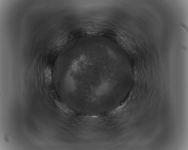 X0000093481106200710121440
